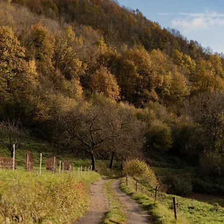 Belvedere Du Bugey - Refuge Dans Les Cepages Holiday home