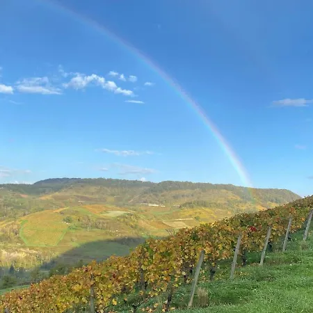 Belvedere Du Bugey - Refuge Dans Les Cepages * Boyeux-Saint-Jerome