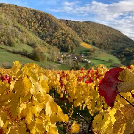 Belvedere Du Bugey - Refuge Dans Les Cepages Holiday home